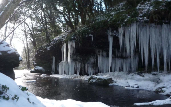 nature ice icicle HD Desktop Wallpaper | Background Image
