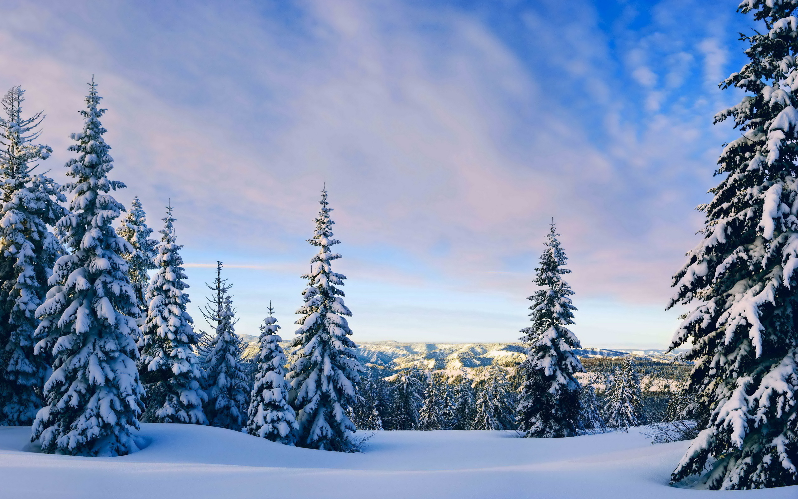 Winter HD Wallpaper | Hintergrund | 2560x1600 | ID:337746 - Wallpaper Abyss