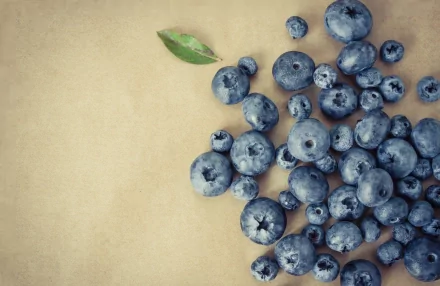 food blueberry HD Desktop Wallpaper | Background Image