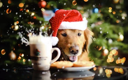 A golden retriever wearing a festive Santa hat enjoys snacks and a drink, surrounded by a beautifully lit Christmas tree, creating a cheerful holiday scene.
