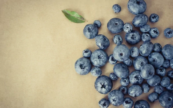 food blueberry HD Desktop Wallpaper | Background Image