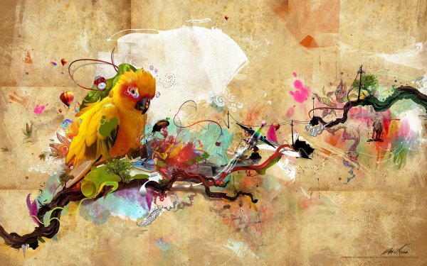 Animal Sun Parakeet Birds Parrots Bird Colorful Colors HD Wallpaper | Background Image