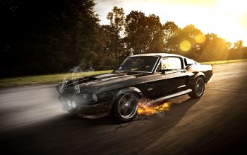 Black Ford Mustang Hd Wallpaper