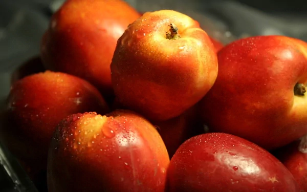 food nectarine HD Desktop Wallpaper | Background Image