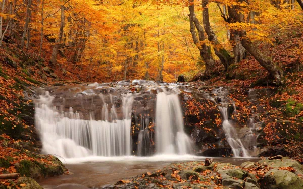 A 4K Ultra HD nature wallpaper featuring a serene waterfall surrounded by vibrant autumn foliage in a dense forest.