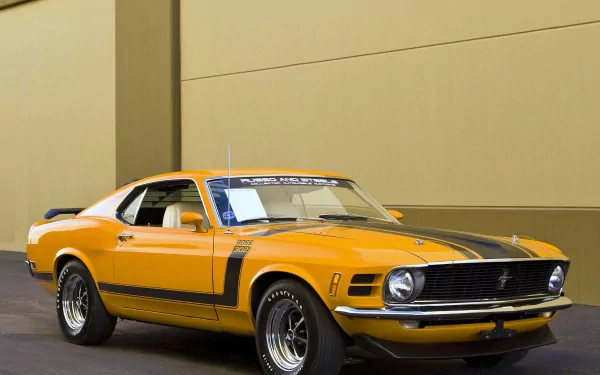 fastback muscle car vehicle Ford Mustang Boss 302 HD Desktop Wallpaper | Background Image