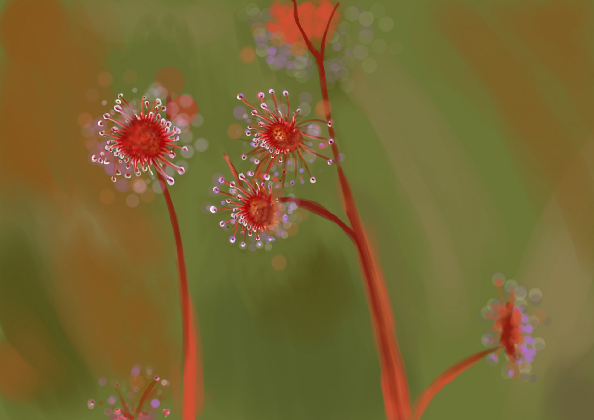 Download Nature Close-up HD Wallpaper