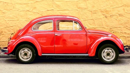 vehicle Volkswagen Beetle HD Desktop Wallpaper | Background Image