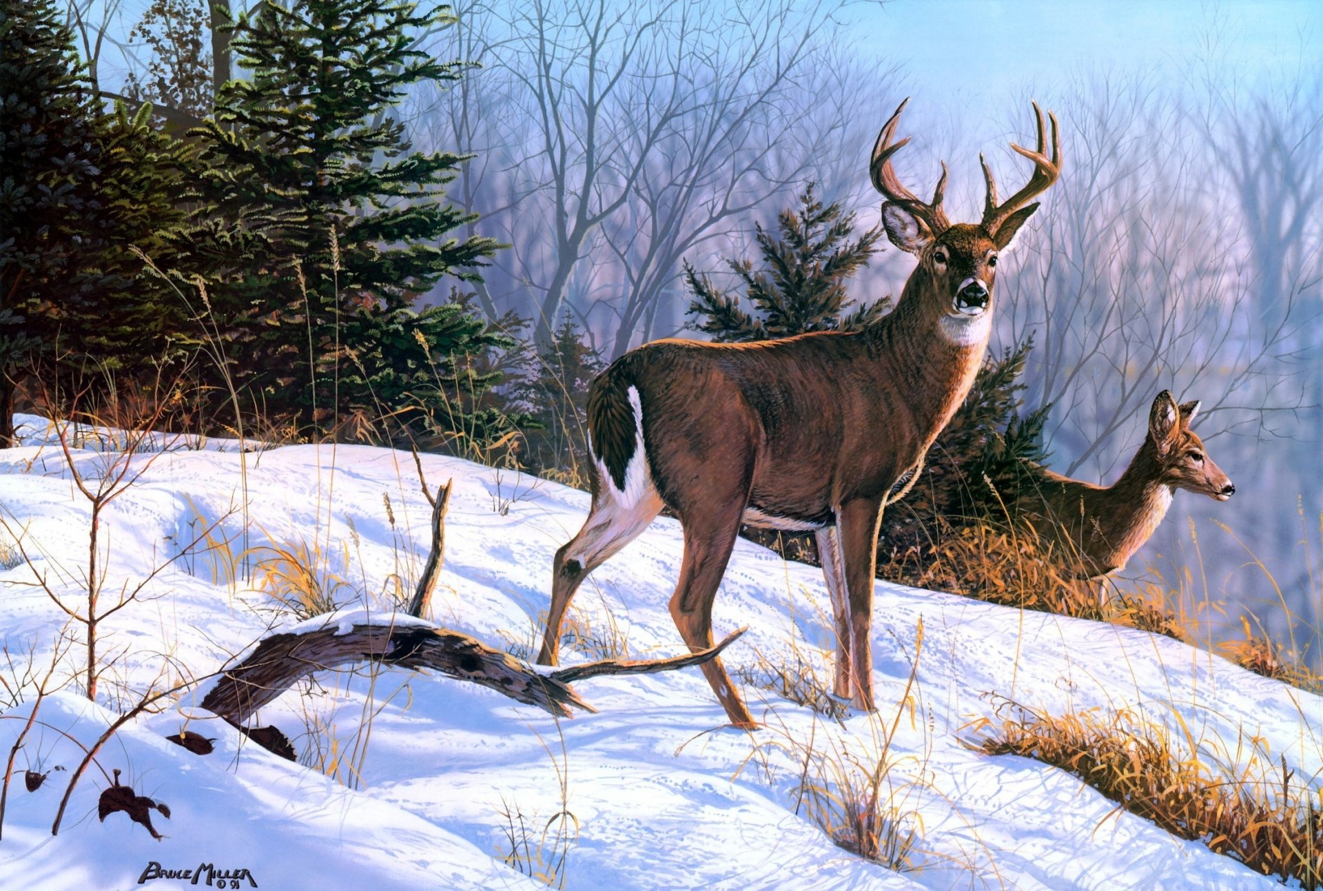 A striking artistic depiction of a deer standing in snowy terrain, surrounded by trees. This HD wallpaper captures the serene beauty of nature and wildlife.