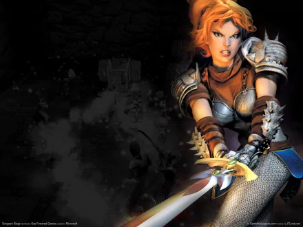 video game dungeon siege HD Desktop Wallpaper | Background Image
