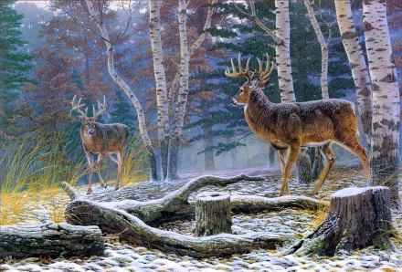 A serene HD desktop wallpaper featuring two deer amidst a snowy landscape, surrounded by birch trees and fallen logs, capturing the beauty of nature.