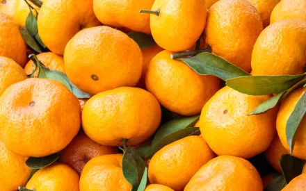 HD PC desktop wallpaper featuring a vibrant close-up of fresh orange mandarins with green leaves, highlighting the rich orange color and natural texture.