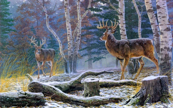 A serene HD desktop wallpaper featuring two deer amidst a snowy landscape, surrounded by birch trees and fallen logs, capturing the beauty of nature.