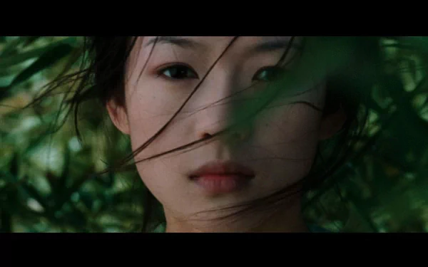 movie crouching tiger hidden dragon HD Desktop Wallpaper | Background Image