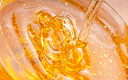 food honey HD Desktop Wallpaper | Background Image