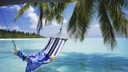 HD desktop wallpaper of a tropical beach with a hammock hanging between palm trees overlooking the ocean and horizon under a bright blue sky.