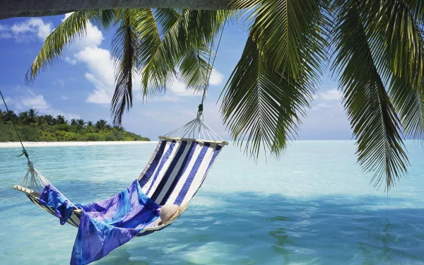 HD desktop wallpaper of a tropical beach with a hammock hanging between palm trees overlooking the ocean and horizon under a bright blue sky.
