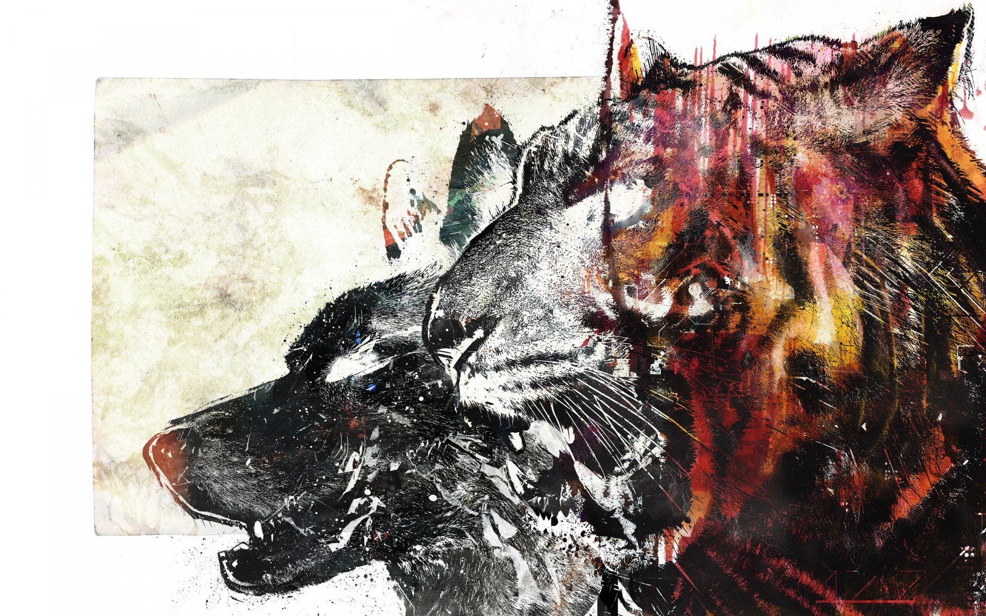 Artistic HD PC desktop wallpaper featuring a dynamic, textured illustration of a wolf and a tiger side by side, blending dark and vibrant colors.