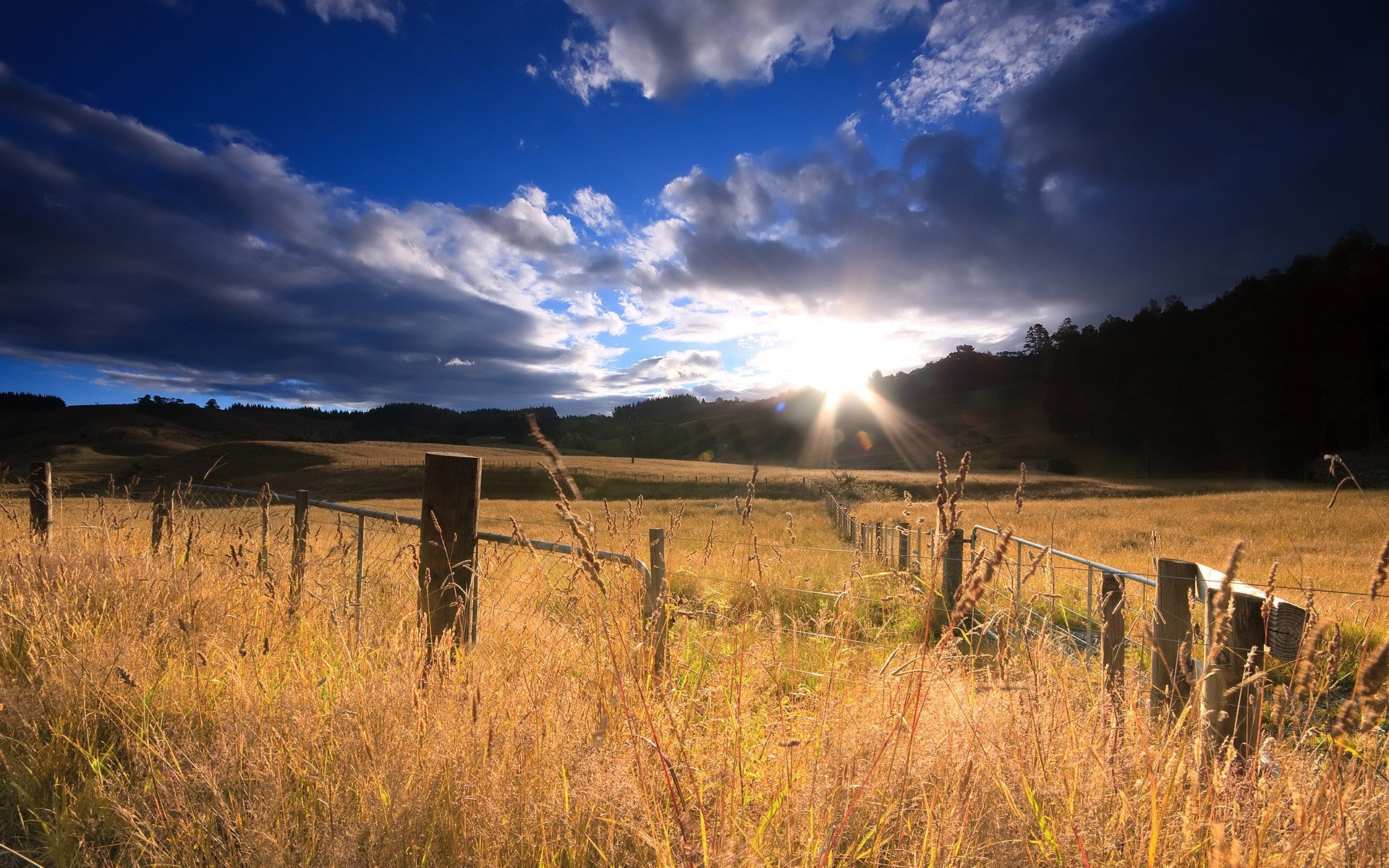 HD PC desktop wallpaper showcasing a golden field under a dramatic sky with sun rays breaking through clouds in a serene nature landscape.