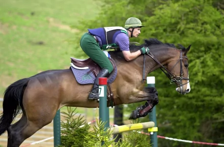 equestrian Show Jumping Sports HD Desktop Wallpaper | Background Image