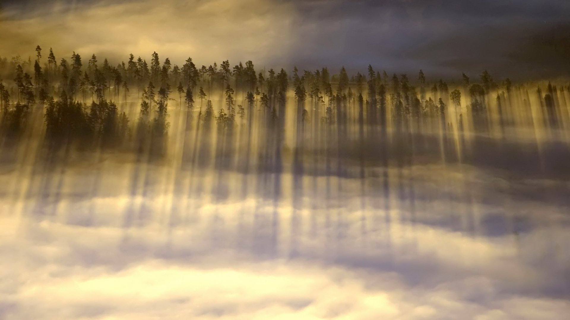 A serene landscape featuring tall trees reflected in misty clouds under a soft, atmospheric sky, creating a tranquil nature scene for an HD desktop wallpaper.