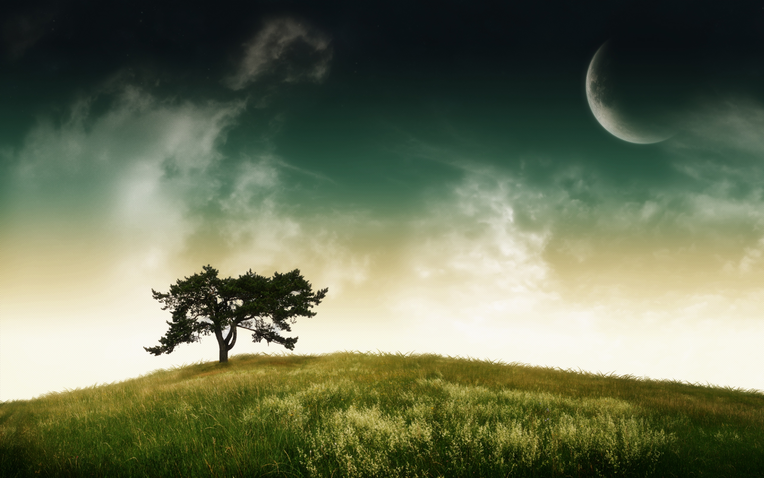 Download Nature Tree HD Wallpaper
