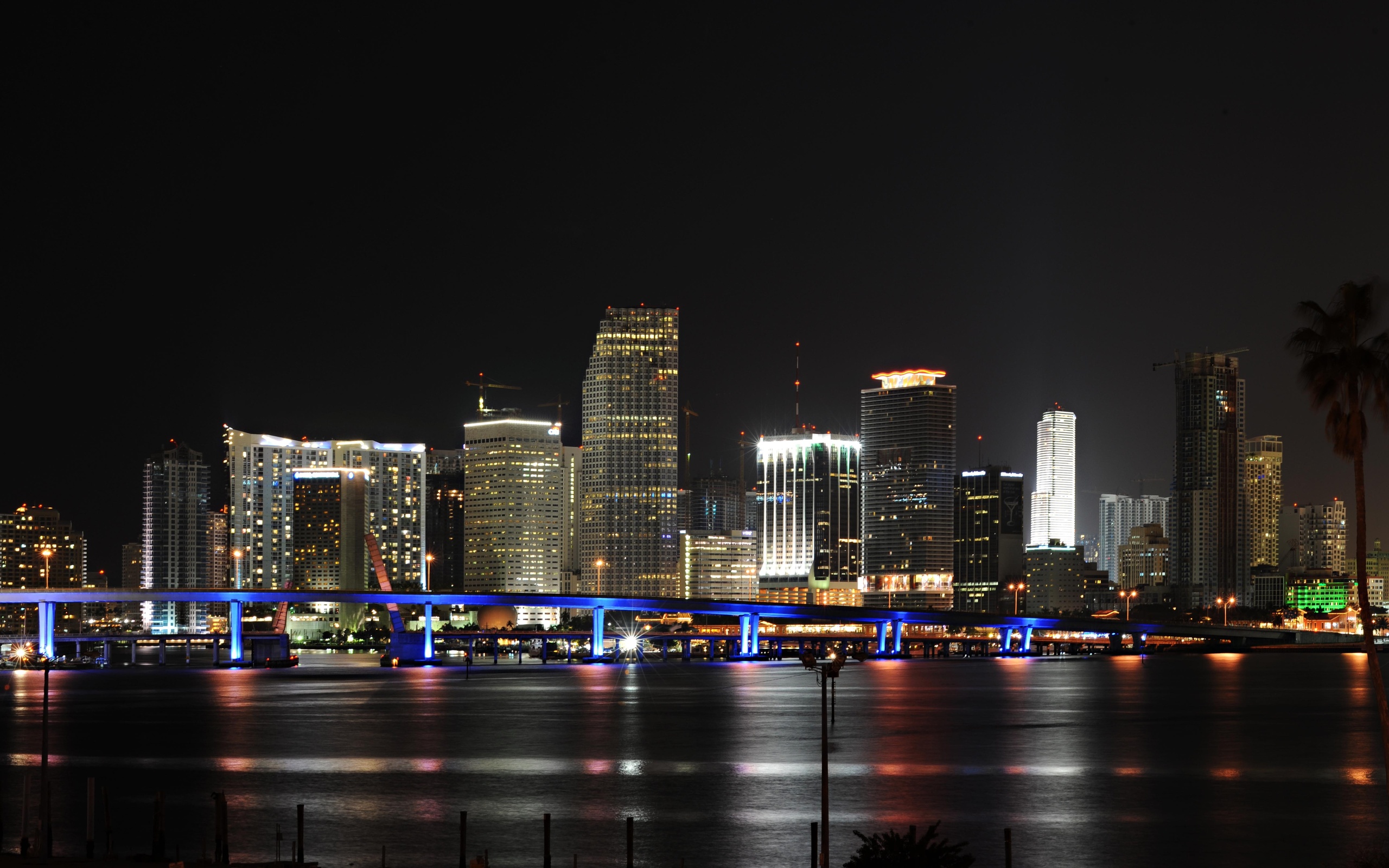 Download Florida Man Made Miami HD Wallpaper