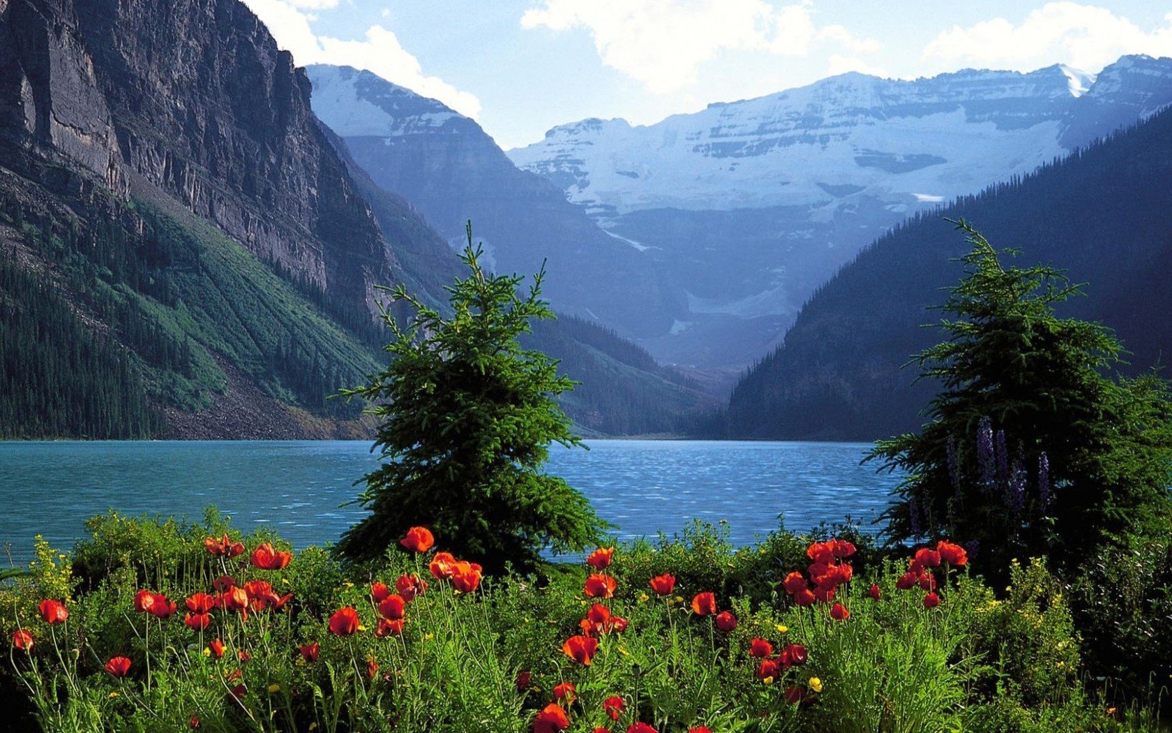 A vibrant landscape featuring lush greenery, colorful flowers, and a serene lake framed by majestic mountains, serving as a stunning HD PC desktop wallpaper and background.