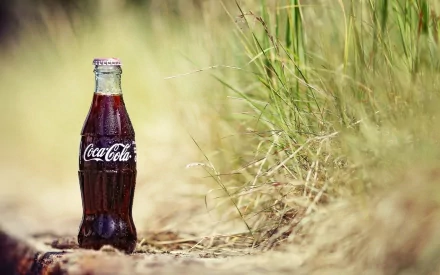 man made Coca Cola HD Desktop Wallpaper | Background Image