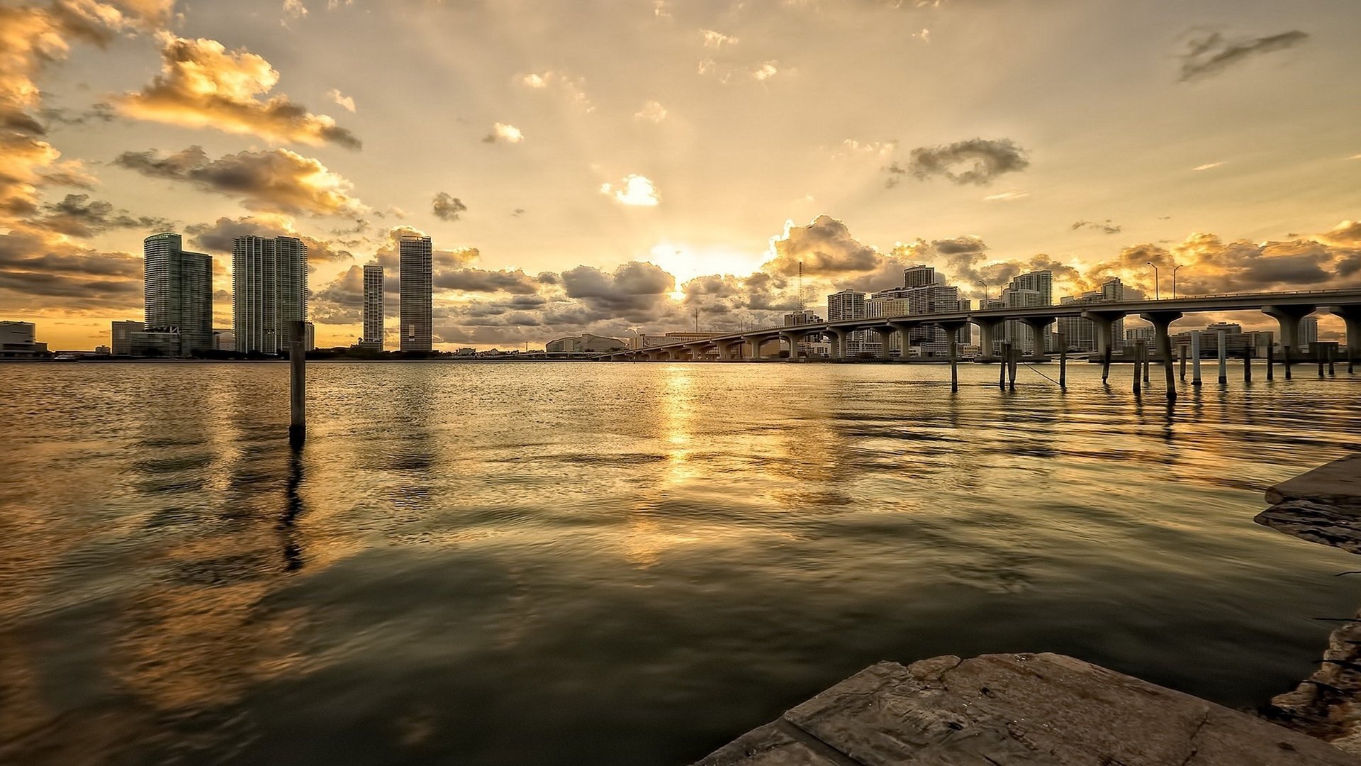 Download Florida Man Made Miami HD Wallpaper