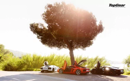 HD Top Gear-themed desktop wallpaper featuring three supercars with open doors under a sunlit tree.