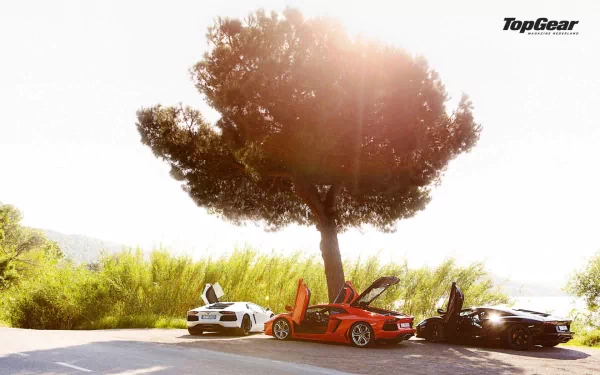 HD Top Gear-themed desktop wallpaper featuring three supercars with open doors under a sunlit tree.