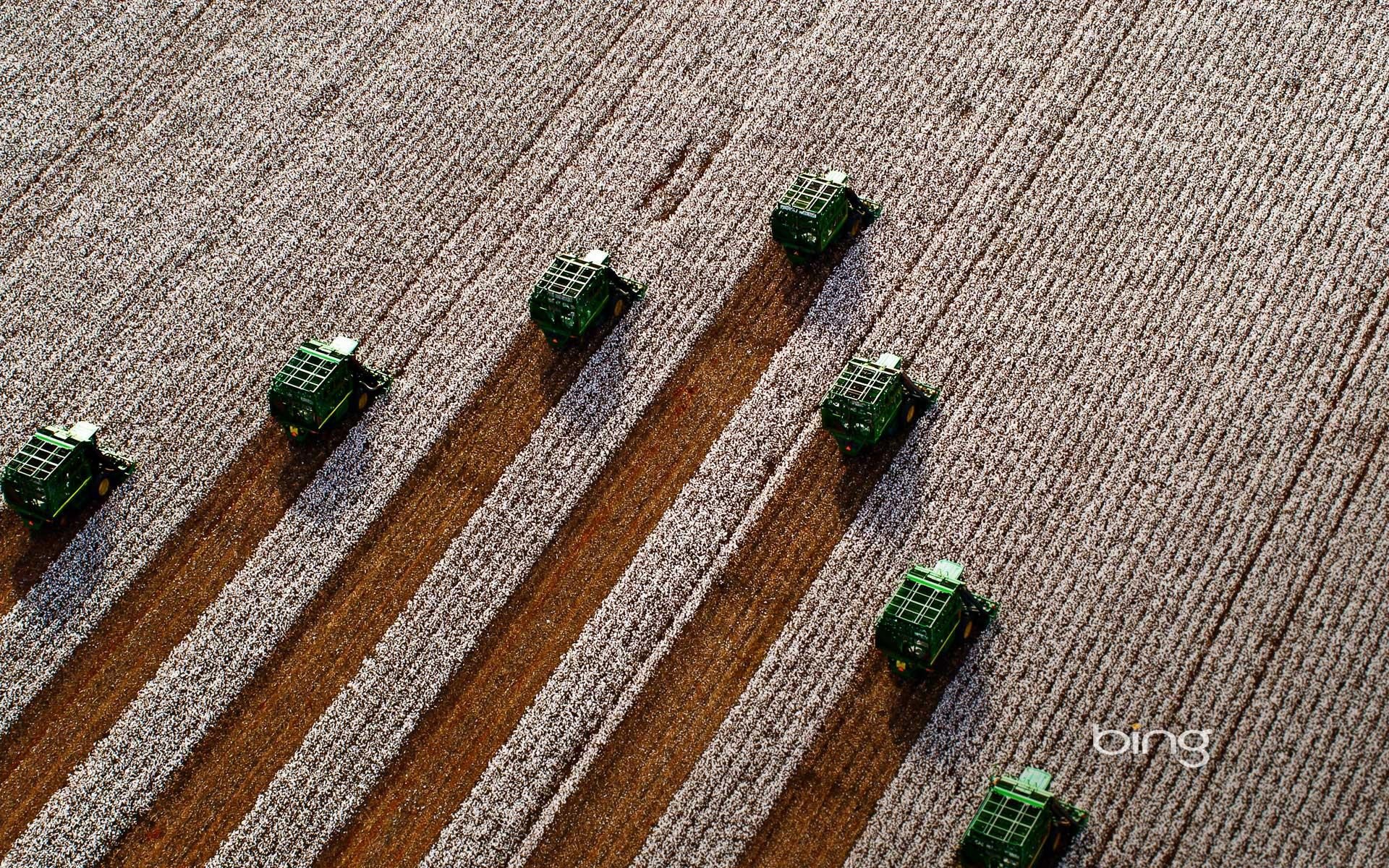 Download Nature Field HD Wallpaper