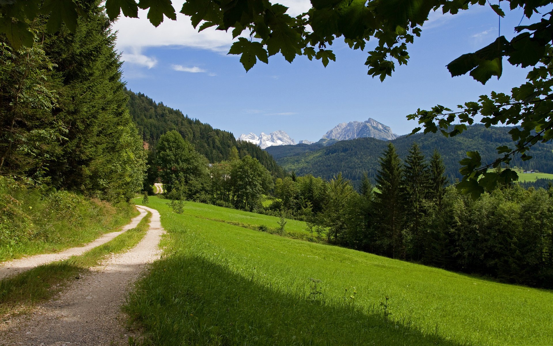 HD PC desktop wallpaper and background: nature landscape of a sunlit meadow and forest path leading toward distant alpine peaks under a blue sky, framed by leafy branches.