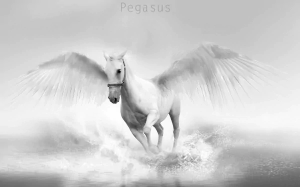 A majestic white Pegasus with outstretched wings stands in a shimmering water landscape, capturing the essence of fantasy in this HD PC desktop wallpaper.