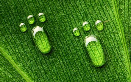 artistic water drop HD Desktop Wallpaper | Background Image
