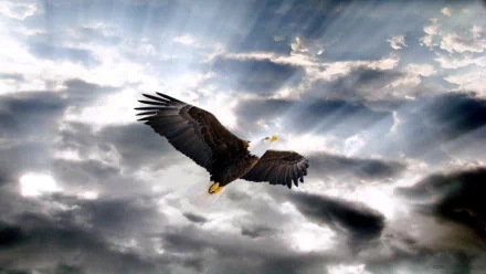 A stunning HD wallpaper featuring a bald eagle soaring through a dramatic sky, illuminated by rays of light breaking through dark clouds.
