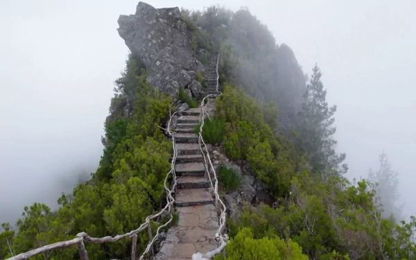 HD desktop wallpaper featuring a man-made wooden staircase winding up a mist-covered mountain ridge surrounded by lush greenery.