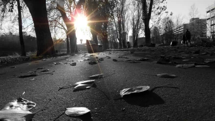 photography sidewalk HD Desktop Wallpaper | Background Image