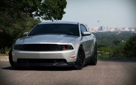 HD desktop wallpaper featuring a silver Ford Mustang parked on a road with a blurred cityscape and trees in the background.