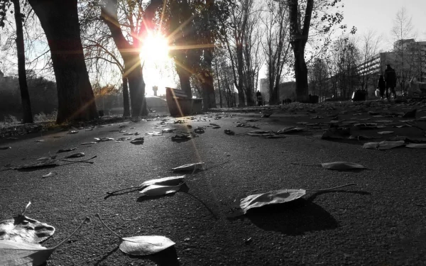 photography sidewalk HD Desktop Wallpaper | Background Image