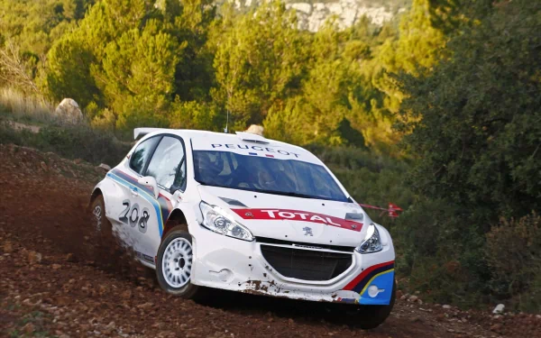 vehicle Peugeot 208 R5 HD Desktop Wallpaper | Background Image