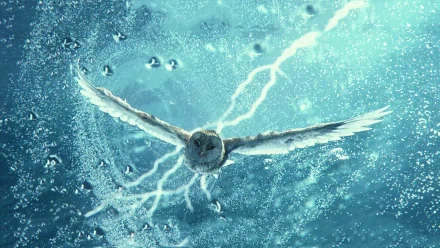 movie Legend of the Guardians: The Owls of Ga'Hoole HD Desktop Wallpaper | Background Image
