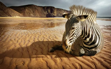 A zebra resting on the sandy beach, with dramatic cliffs in the background, creates a stunning natural scene in this HD PC desktop wallpaper.