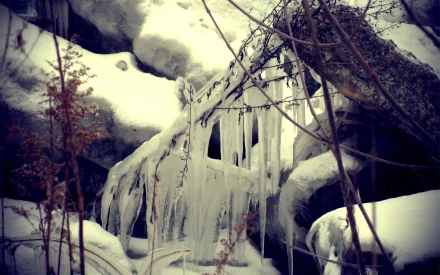nature ice icicle HD Desktop Wallpaper | Background Image