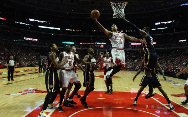 Derrick Rose Chicago Bulls Sports HD Desktop Wallpaper | Background Image