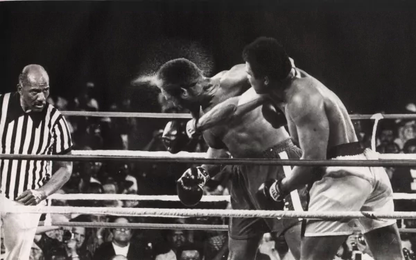 HD black-and-white desktop wallpaper featuring an intense boxing match inside the ring with a referee observing closely.
