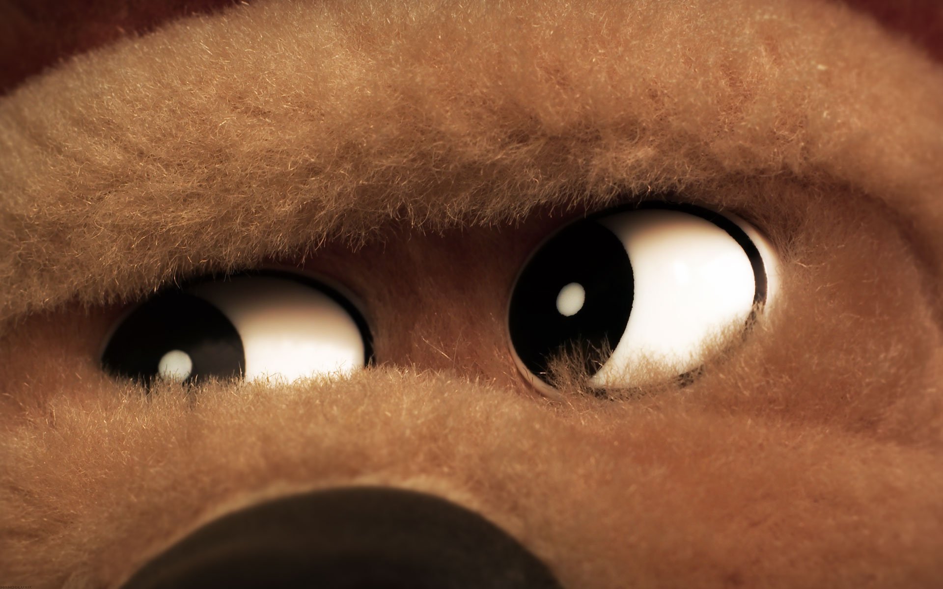 Close-up of a stuffed animal's face, featuring large, expressive eyes and soft, textured fur. This HD image serves as a warm and inviting desktop wallpaper.