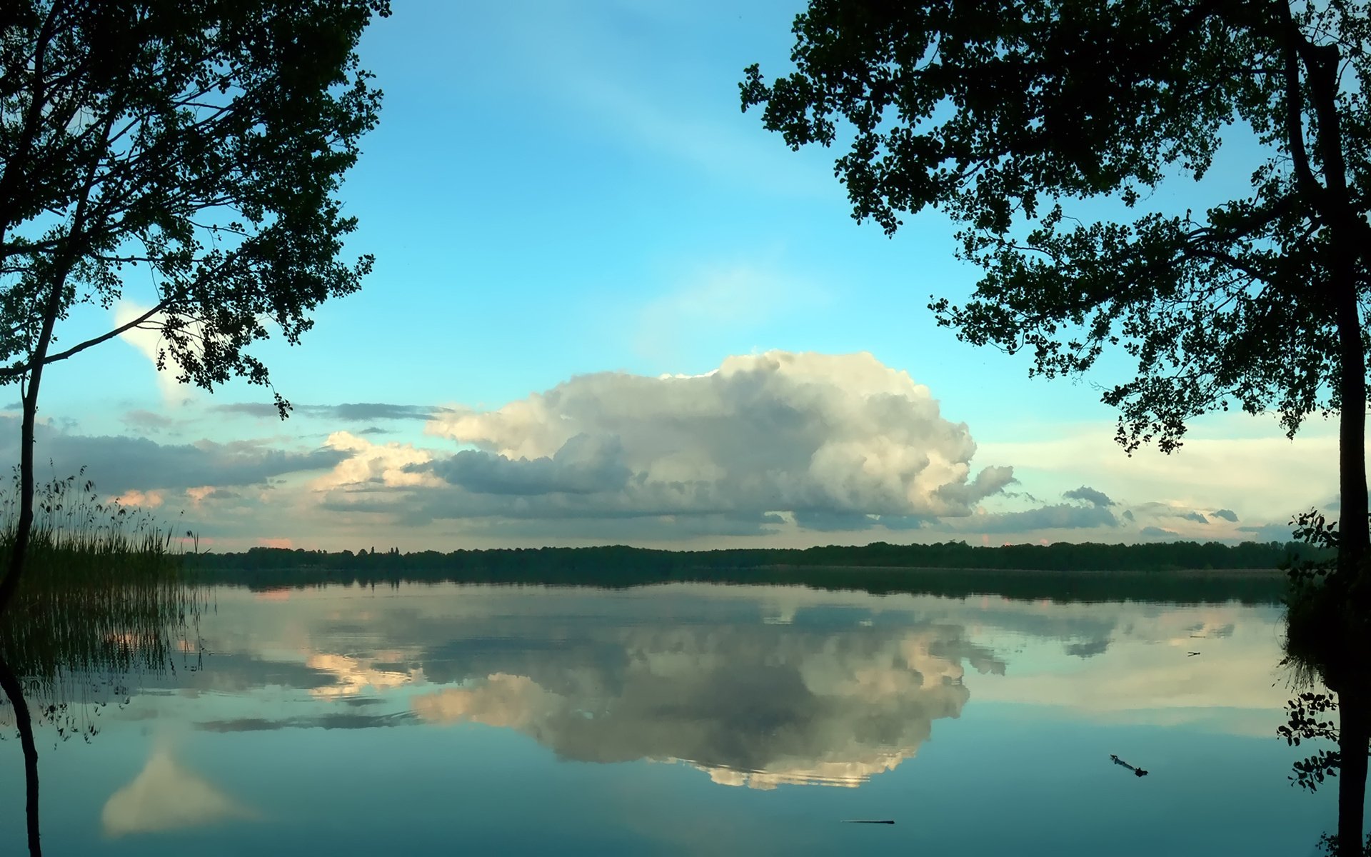 Все ли на озере. Озеро Селява Беларусь. Озеро Ломпадь. Пейзаж Селява Беларусь. Калищенское озеро.