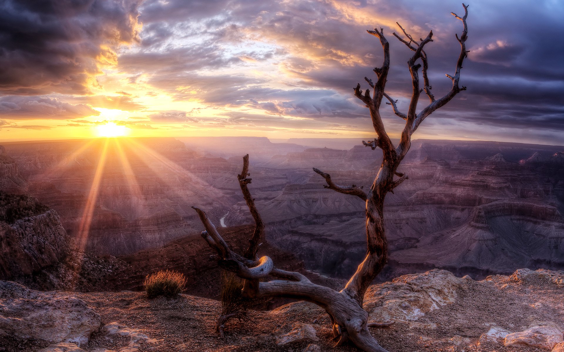 Download Nature Sunset HD Wallpaper | 1920x1200 | Wallpaper Abyss